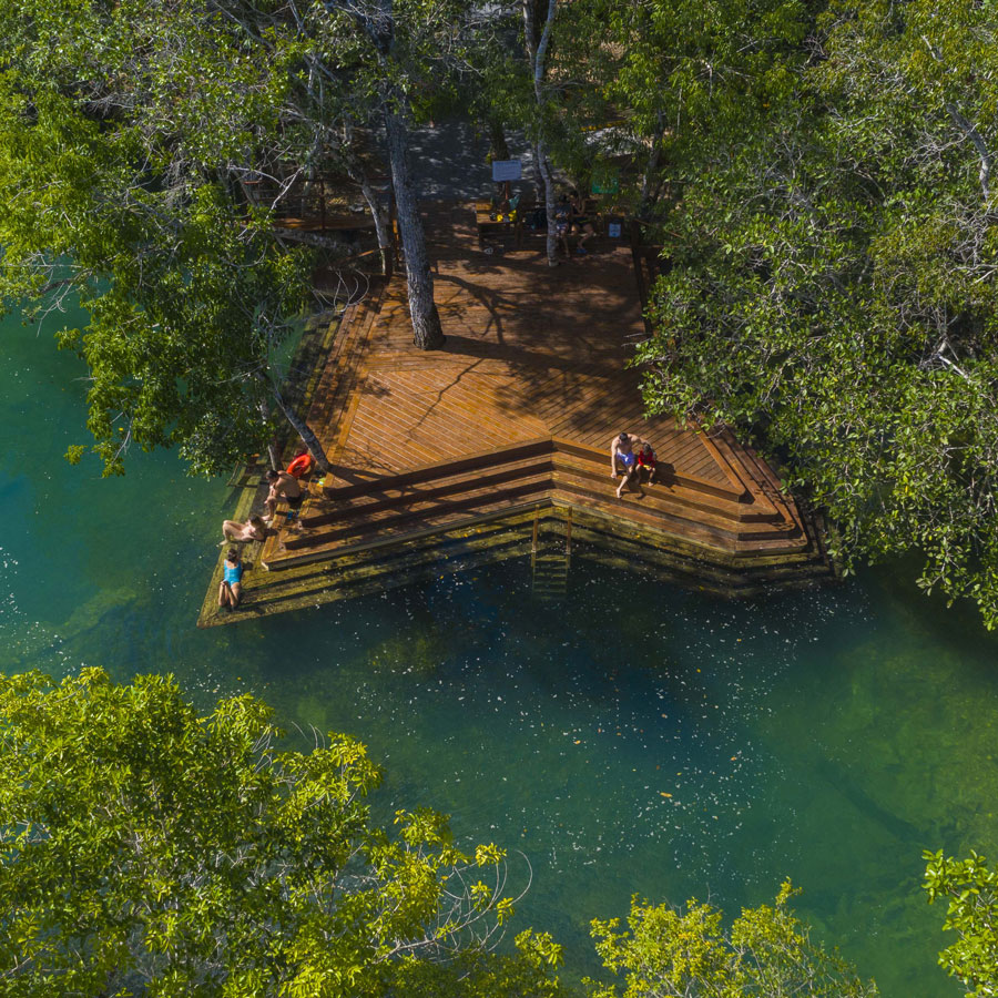 Créditos-Multi-Frequência