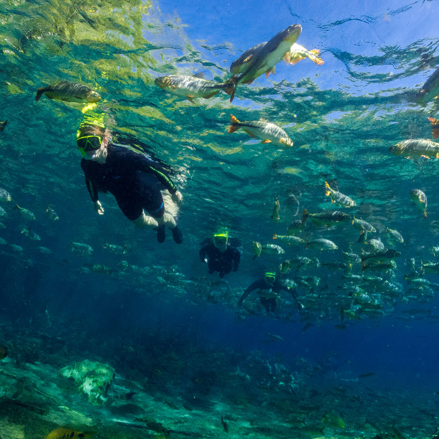 Flutuação-Recanto-Ecológico-Rio-da-Prata_Foto_Daniel-De-Granville