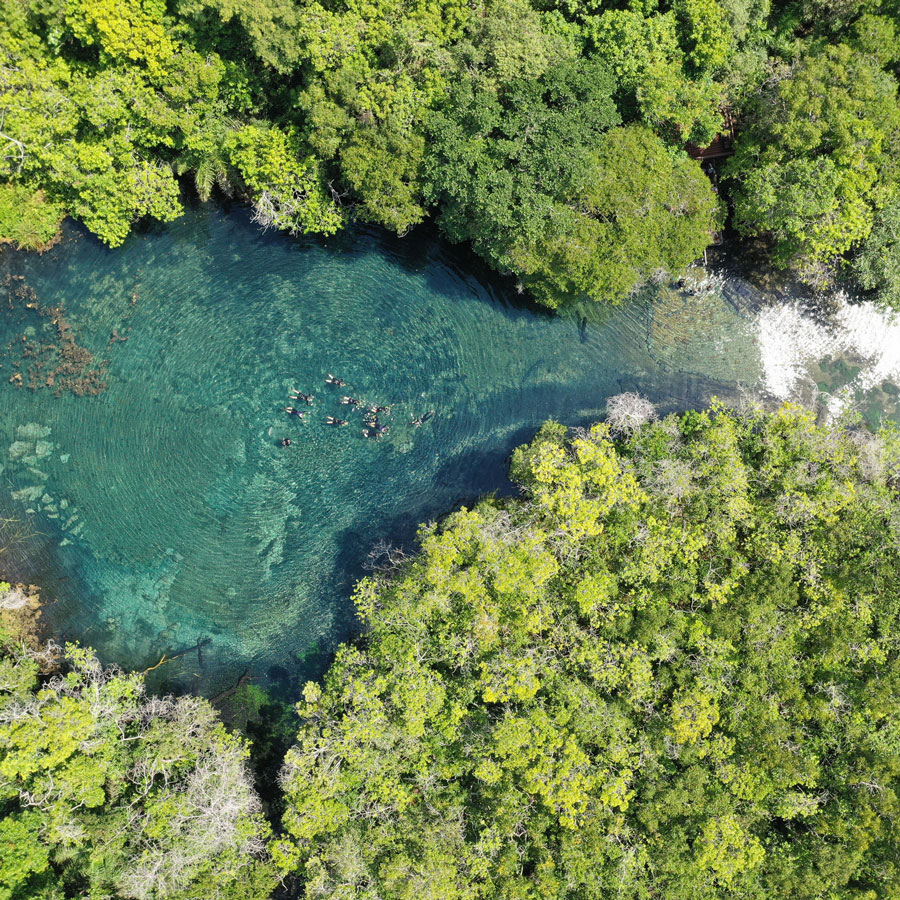 Nascente-rio-olho-dagua_Recanto-Ecológico-Rio-da-Prata
